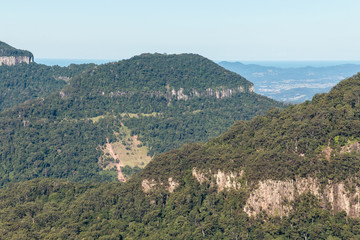 Fototapeta na wymiar Gondwana rainforests in Lamington National Park, Queensland, Australia