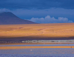 Fototapeta na wymiar The Red Lagoon at sunset in Eduardo Avaroa Wildlife Refuge, Sud Lipez, Bolivia
