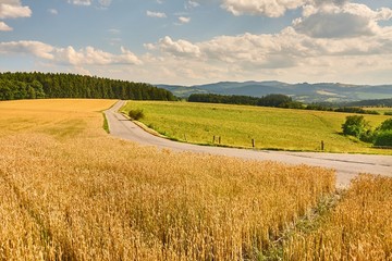 Road through farmlands