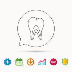 Dentinal tubules icon. Tooth medicine sign. Calendar, Graph chart and Cogwheel signs. Download and Shield web icons. Vector