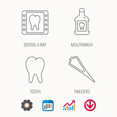 Mouthwash, tooth and dental x-ray icons. Tweezers linear sign. Calendar, Graph chart and Cogwheel signs. Download colored web icon. Vector