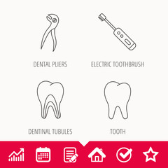Tooth, electric toothbrush and pliers icons. Dentinal tubules linear sign. Edit document, Calendar and Graph chart signs. Star, Check and House web icons. Vector