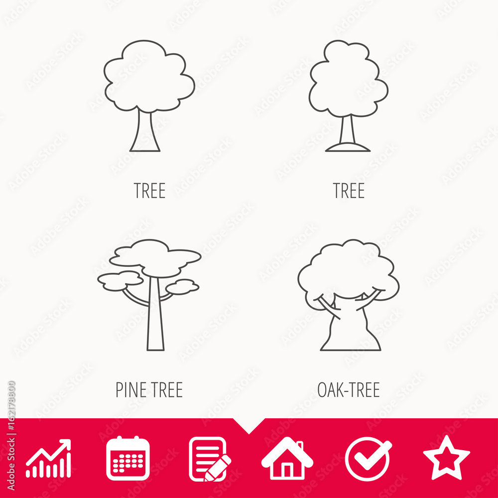 Poster pine tree, oak-tree icons. forest trees linear signs. edit document, calendar and graph chart signs.