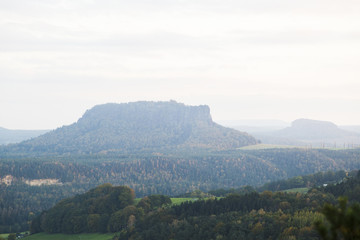 Big rock mountain in green forest in summer day