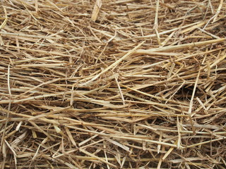 Hintergrund: Stroh