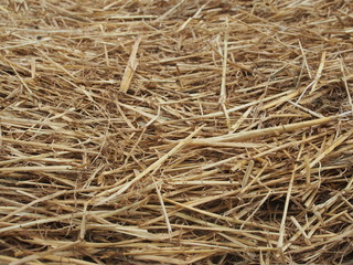 Hintergrund: Stroh