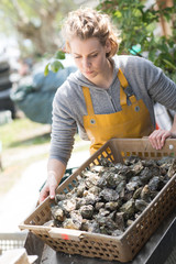 Woman with basket of oysters