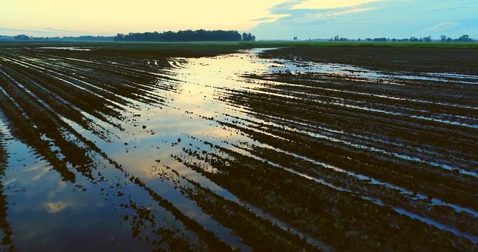Flying low over flooded, muddy farm fields in Springtime at dawn.
