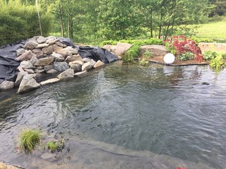 Teichbau