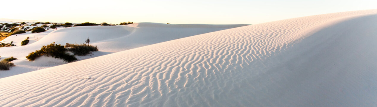 Dune In White Sands