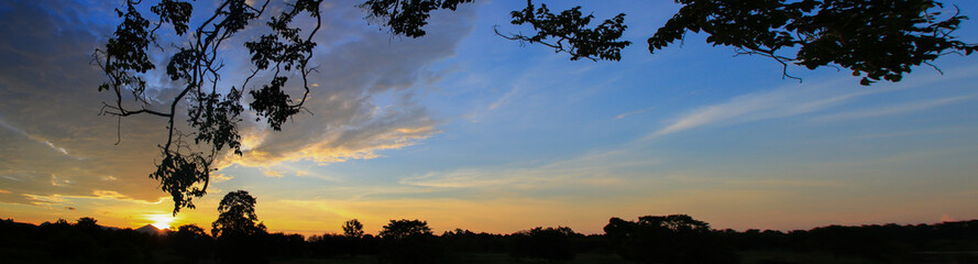 Panorama sunset beautiful colorful landscape and silhouette tree mountain in sky twilight time