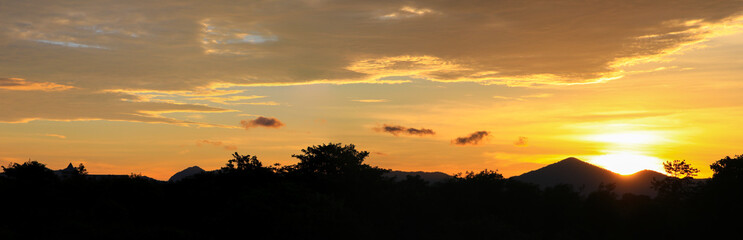 Panorama sunset beautiful colorful landscape and silhouette tree mountain in sky twilight time
