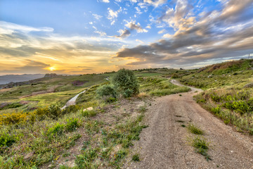 Fototapeta na wymiar Dirt Road through Mediterranean landscape on the island of Cyprus