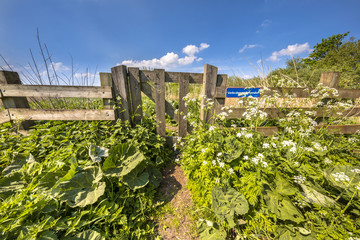 Gate in public walking track wit No Dogs sign