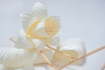 Dararat or Daffodil artificial flowers for H.M. King Bhumibol Adulyadej's cremation
