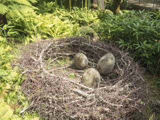 Wooden eggs in the nest_near