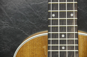 Obraz premium wood ukulele