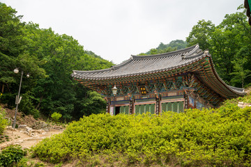 Fototapeta na wymiar July 19, 2014. Cheongpyeong Temple in Chuncheon City, Gangwon Province