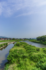夏の魚野川の風景