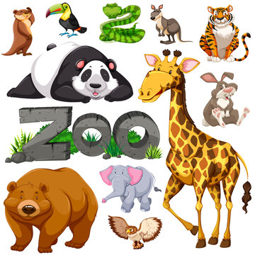Zoo and different types of wild animals