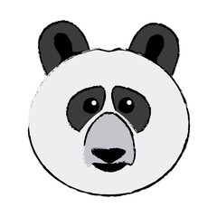 cute face panda bear animal asia wildlife