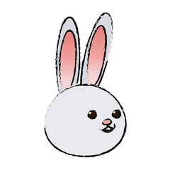 cute rabbit cartoon sweet animal funny