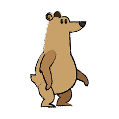 cartoon bear character wildlife animal carnivore