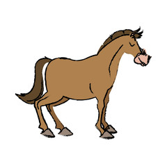 Fototapeta premium horse domestic animal farming agricultural