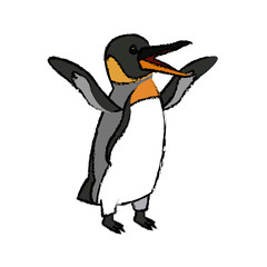 emperor penguin bird nature marine animal