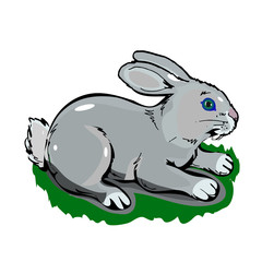 Hare cartoon on a white background.vector