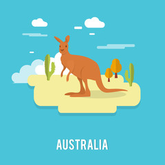 Kangaroo native Australian animal on desert in Australia illustration design