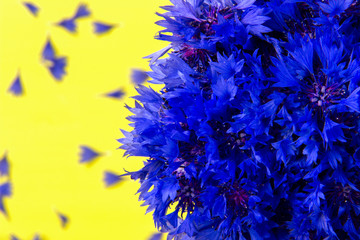 Bouquet of cornflowers on a yellow background.