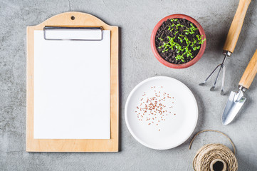Sprouts in a pot, seeds and garden tools on a gray concrete background