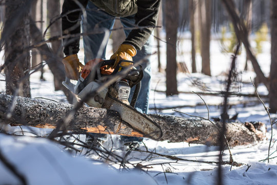 Man cutting firewood with chainsaw in winter