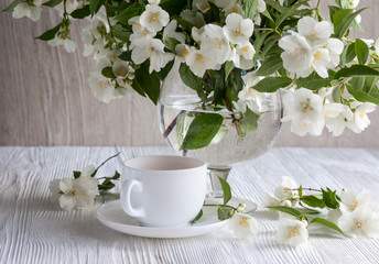 Fototapeta na wymiar Jasmine fragrance flower