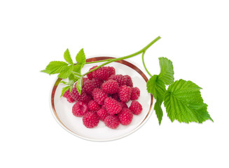 Berries of red raspberry on saucer and raspberry twig