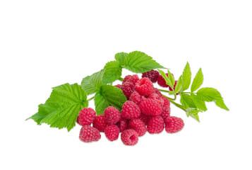 Pile of red raspberries and raspberry branch with leaves