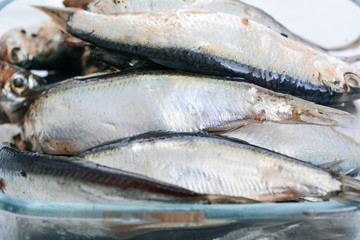 Baltic herring
