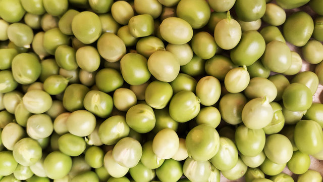 green peas - summer harvest