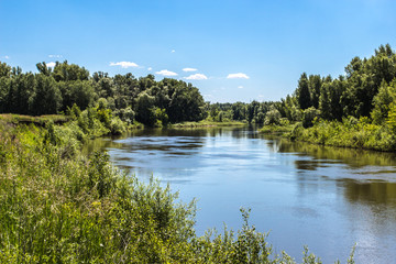 Fototapeta premium summer landscape with river and sky