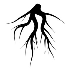 root silhouette vector symbol icon design.