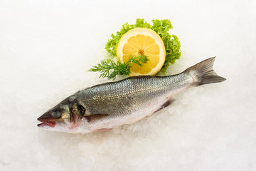 Fresh perch fish on ice. Ready for cooking.