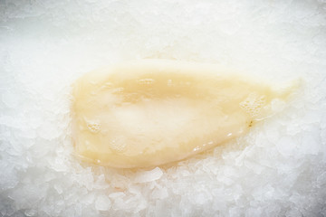 Fresh squid fillet on ice