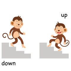 Opposite up and down illustration