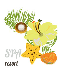 Starfish, seashells, sea stones and palm leaves . Baner for spa, hotel, card