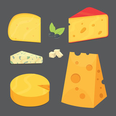 Cheese types . cartoon style vector illustration icons.