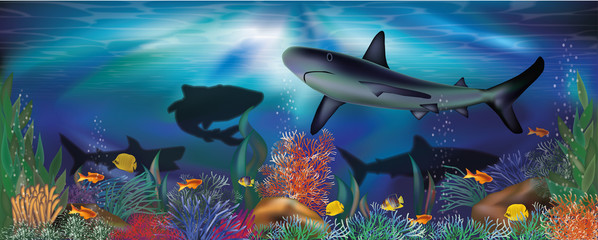 Obraz na płótnie Canvas Underwater tropical wallpaper with Shark, vector illustration