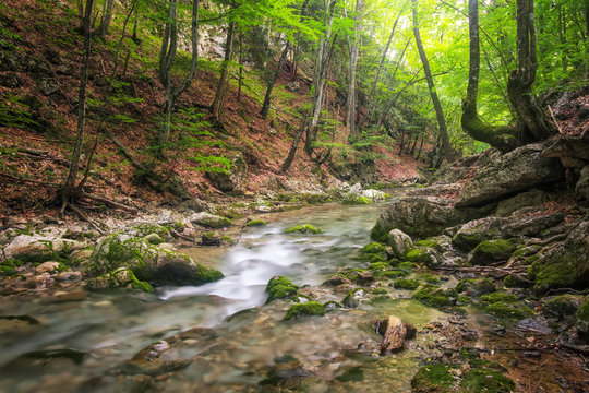 Mountain river in forest and mountain terrain. Crimea, the Grand Canyon. Nature composition.