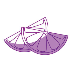 orange fruit icon over white background vector illustration