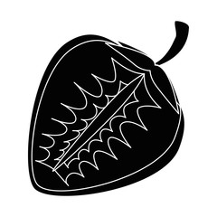 strawberry fruit icon over white background vector illustration